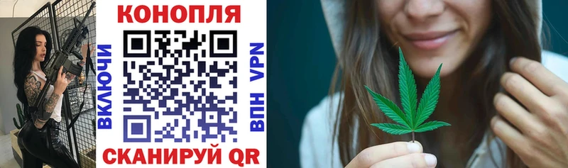 Канабис семена  Липки 
